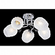 Потолочная люстра Sfera Sveta 06728/5 CHROME