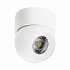 Спот Lightstar Intero i06406