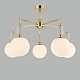 Потолочная люстра Lumion Vivien 6580/5C