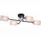 Потолочная люстра Sfera Sveta 1691B-4 BK+CR