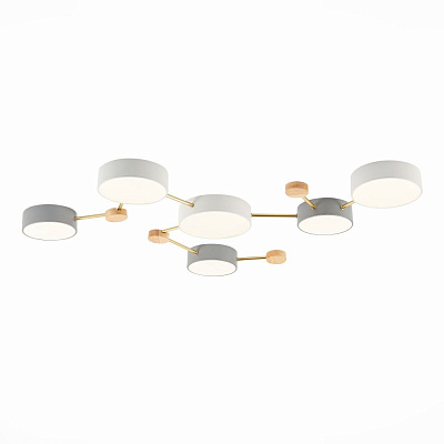 Потолочный светодиодный светильник Evoluce Dossena SLE600102-06