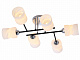 Потолочная люстра Sfera Sveta 06691/6 CHROME+BLACK