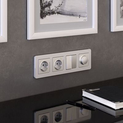 Рамка на 4 поста Werkel Platinum W0042606 алюминий a059218