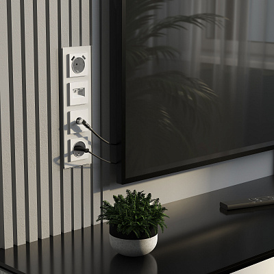 Розетка с заземлением и USB Werkel белые матовые a062406