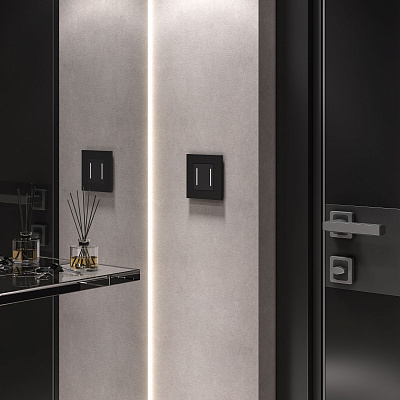 Сенсорный выключатель двухклавишный с Wi-Fi Werkel черный a064142