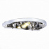 Настенный светильник St Luce Olmi SL1510.101.01