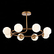 Люстра Evoluce Calabria SLE220602-08