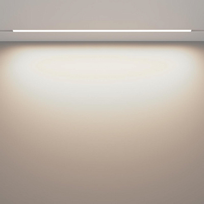 Магнитный трековый светильник Maytoni Basis TR030-2-30W4K-W