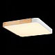 Потолочный светодиодный светильник Evoluce Festa SLE201252-01