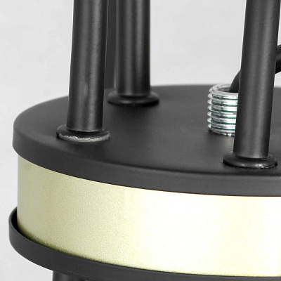 Подвесная люстра Lussole Lgo Roosevelt GRLSP-8198