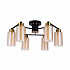 Потолочная люстра Arte Lamp Leo A7027PL-6BK
