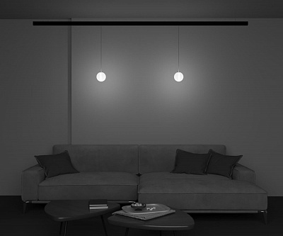 Трековый подвесной светильник Maytoni Luna Exility Dim Dali TR039-4-5WTW-DD-B