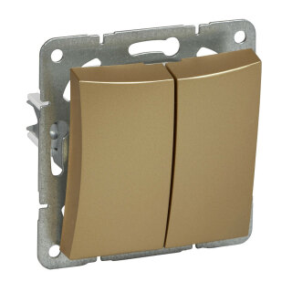 Выключатель двухклавишный с подсветкой шампань SE Duet WDE000453