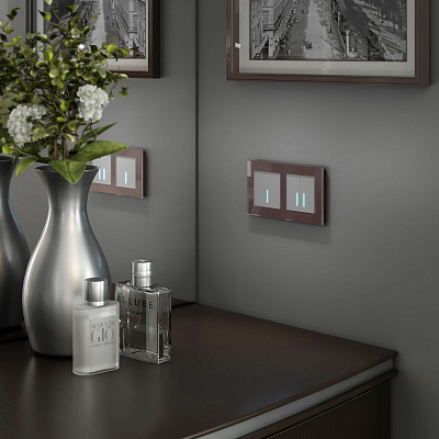 Сенсорный выключатель двухклавишный Werkel серебряные a057681