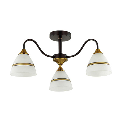 Люстра Lumion Nettie 5214/3C