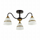 Люстра Lumion Nettie 5214/3C