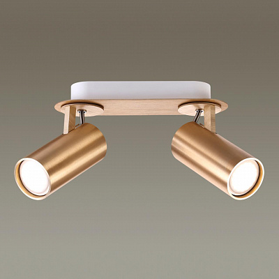 Спот Odeon Light Corse 3876/2C