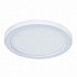 Потолочный светодиодный светильник Arte Lamp Mesura A7978PL-1WH