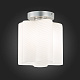 Потолочный светильник ST Luce Onde SL117.502.01