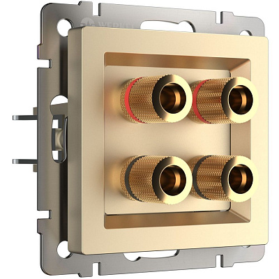 Розетка акустическая Werkel шампань a050862