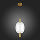 Подвесной светодиодный светильник ST Luce Allenore SL1582.313.01