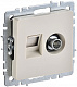 Розетка двойная TV+RJ45 IEK Brite кат.5E РТВ/РК12-БрКр бежевый BR-AK20-1-K10