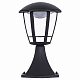 Уличный настенный светильник Arte Lamp Enif A6064FN-1BK