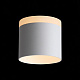 Потолочный светодиодный светильник ST Luce Panaggio ST102.502.12