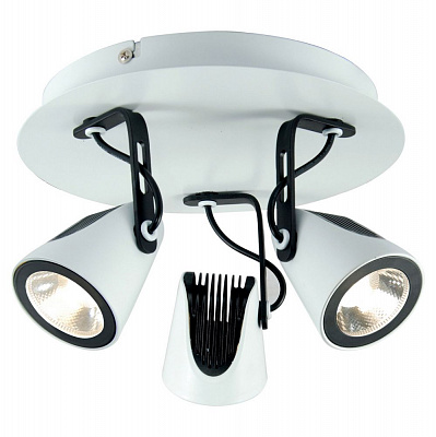 Спот Lussole Loft LSN-4101-03