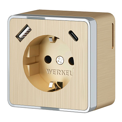 Розетка с заземлением и USB Werkel Gallant шампань рифленый a057703