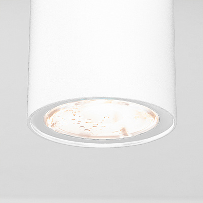 Уличный потолочный светильник Elektrostandard Light  35129/H белый LED a056257