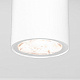 Уличный потолочный светильник Elektrostandard Light  35129/H белый LED a056257