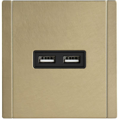 Розетка USB A+A 3,1А IEK FORTE&PIANO FP649M FP-U21-D31-M-K37 металл шампань