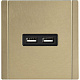 Розетка USB A+A 3,1А IEK FORTE&PIANO FP649M FP-U21-D31-M-K37 металл шампань