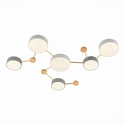 Потолочный светодиодный светильник Evoluce Dossena SLE600102-06