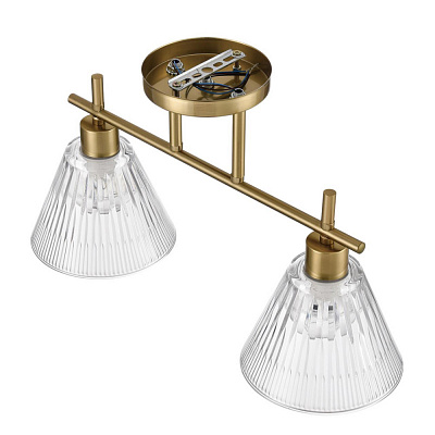Потолочная люстра Lumion Vivian 8188/2C
