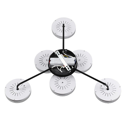 Потолочная люстра Lumion Didana 8236/6CL