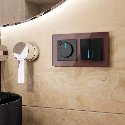 Рамка на 2 поста Werkel Favorit W0021118 мокко a051098