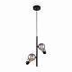 Подвесной светильник Freya Evidence  FR5372PL-02B