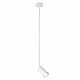 Светильник подвесной  ST Luce Sormano SL1206.503.01