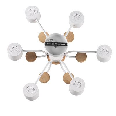 Потолочная люстра Lumion Rondo 8231/6C