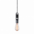 Подвесной светильник Loft IT Tails Loft1510BL