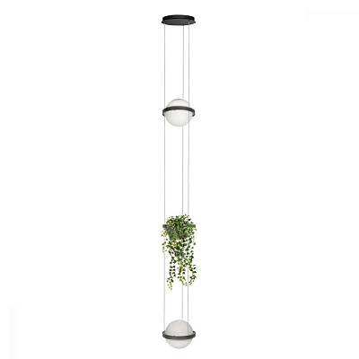 Подвесной светильник Loft It Jardin 10121/2P Dark grey