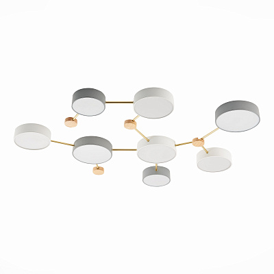 Потолочный светодиодный светильник Evoluce Dossena SLE600102-08