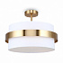 Потолочный светильник Freya Bride FR5367CL-03BS