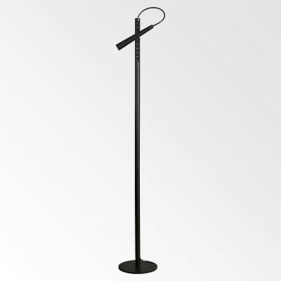 Торшер светодиодный Lussole Dawson LSP-0576