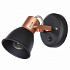 Спот Arte Lamp A1677AP-1BK