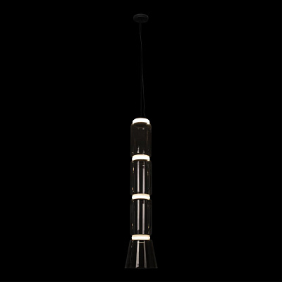 Подвесной светильник Loft It Noctambule 10193/L