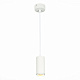 Подвесной светильник ST Luce Zoom ST600.533.10