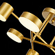 Потолочный светодиодный светильник Evoluce Nobel SLE201022-06
